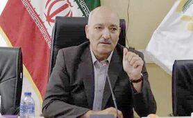 هشدار جایگزینی گندم به عنوان خوراک دام

