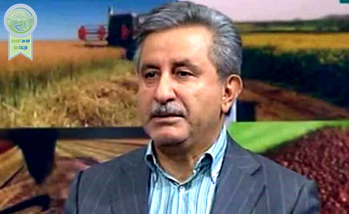 برنامه دولت سیزدهم برای دستیابی به خودکفایی در تولید گندم

