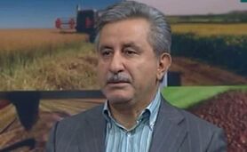 برنامه دولت سیزدهم برای دستیابی به خودکفایی در تولید گندم

