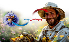 چهره‌شناسی توسط زنبورعسل