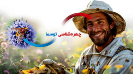 چهره‌شناسی توسط زنبورعسل