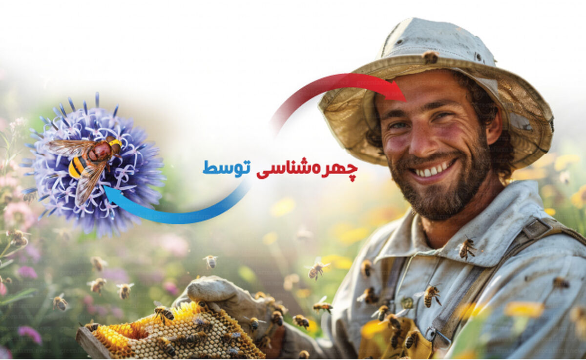 چهره‌شناسی توسط زنبورعسل