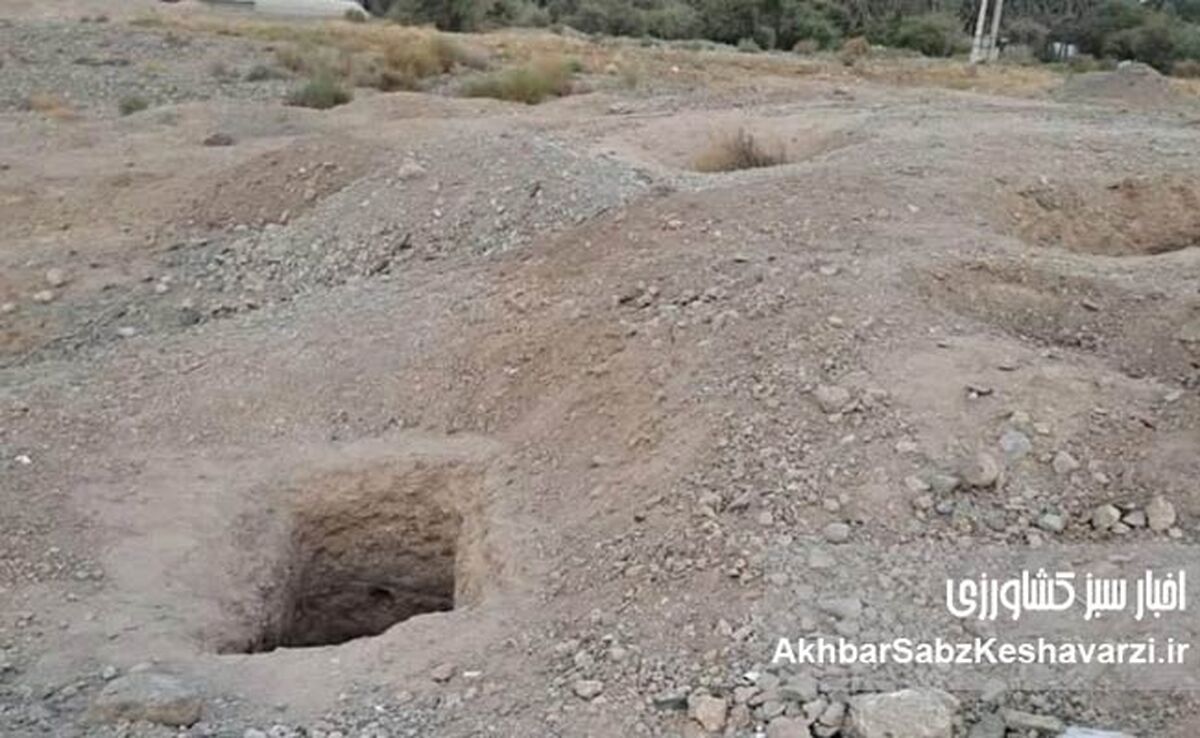 بازگشت کابوس به تمدن کهن؛ حفاری غیرمجاز در جیرفت و تقابل خونین با حفاران مسلح