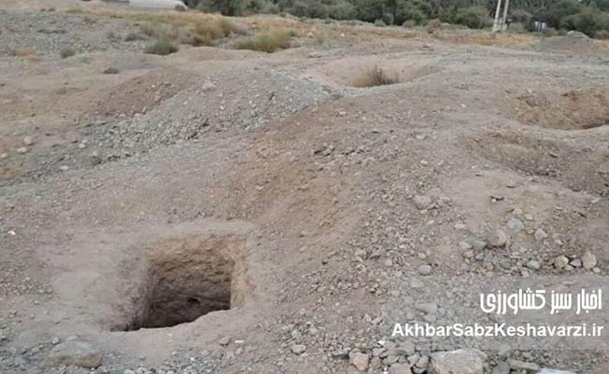 بازگشت کابوس به تمدن کهن؛ حفاری غیرمجاز در جیرفت و تقابل خونین با حفاران مسلح