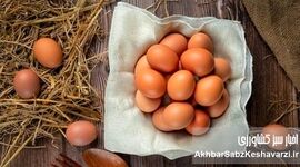 عرضه تخم مرغ در شهرهای مسافرپذیر افزایش یافت

