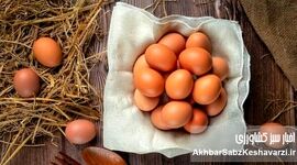 عرضه تخم مرغ در شهرهای مسافرپذیر افزایش یافت

