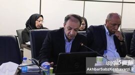 تورج مسرور: بیمه کشاورزی پشتوانه امنیت غذایی کشور است

