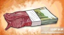 چرا گوشت ۶۰۰ هزار تومانی، جایگزین یارانه ای شد؟