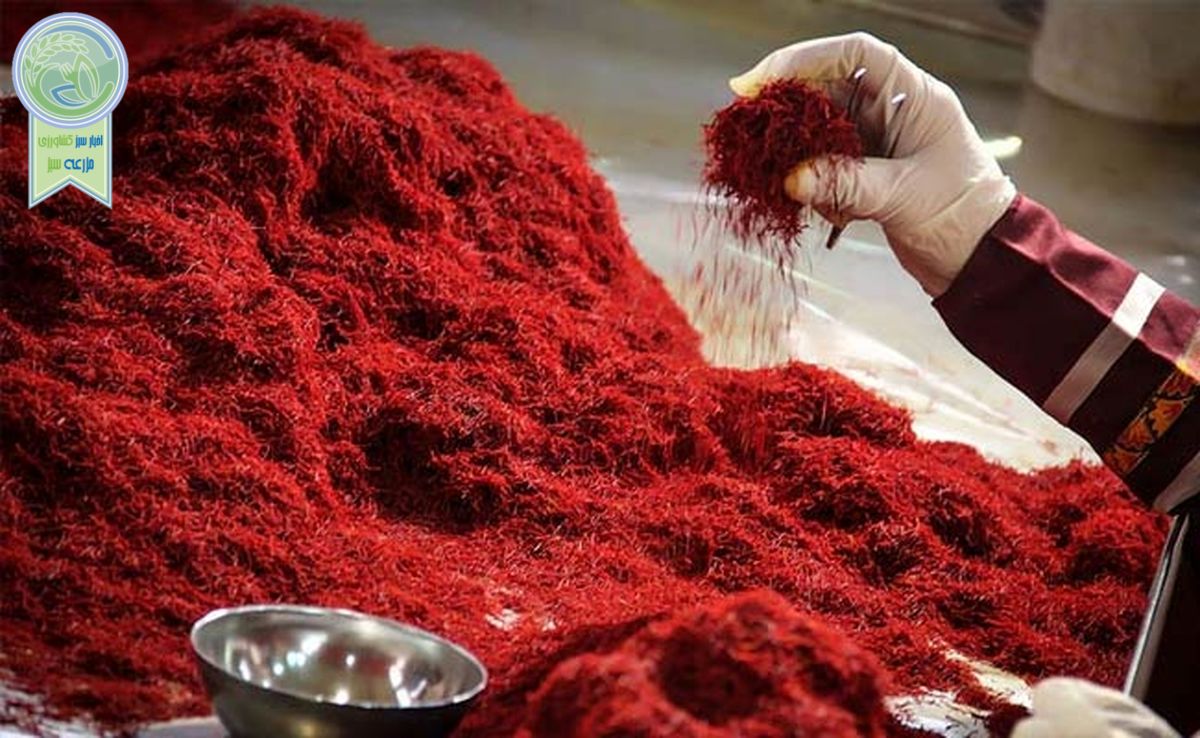 امکان صادرات ۳۰۰ تنی زعفران در صورت رفع موانع صادرکنندگان

