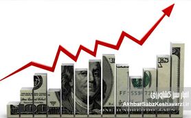 افزایش نرخ دلار: تهدیدی جدی برای نابودی اقتصاد ملی و معیشت مردم