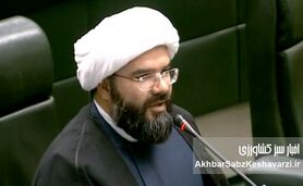 نیکبین: دخالت دولت قیمت‌ها را بالا برد؛ راه‌حل، نظارت بر بازار است