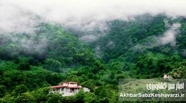 زیبایی شمال ایران در یک کلیپ تصویری: روایتی از زندگی و موسیقی محلی
