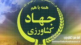 وزیر جهاد کشاورزی، معاونان را از گفتگو با رسانه‌ها منع کرد: پنهان‌کاری یا تدبیر؟