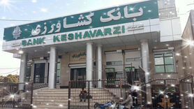 بانک کشاورزی محرک اصلی توسعه کشاورزی و اشتغالزایی در مجتمع‌های دام و طیور

