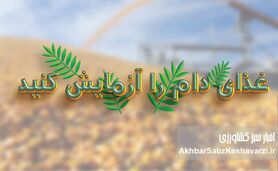 غذای دام را آزمایش کنید؛ تصمیمی ساده با سودی بزرگ