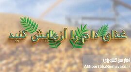 غذای دام را آزمایش کنید؛ تصمیمی ساده با سودی بزرگ