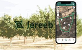تاثیر محاسبه مساحت تاج درخت در سلامت و سودآوری باغات+ تصویر

