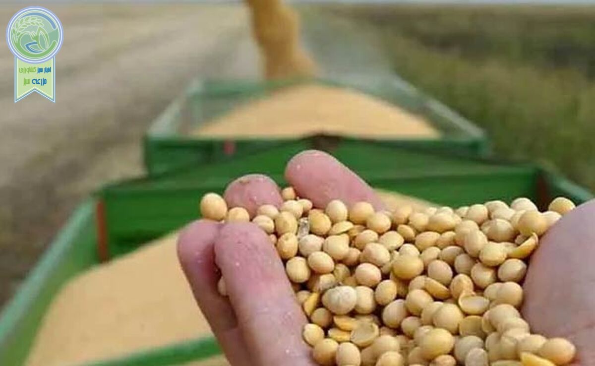 قیمت نهاده های دامی و محصولات کشاورزی ۲۴ اردیبهشت ۱۴۰۳+ جدول

