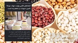 امضاهای طلایی وزارت جهاد چگونه حبوبات را از سفره مردم حذف کرد؟ / روایتی از نابسامانی واردات و گرانی افسارگسیخته