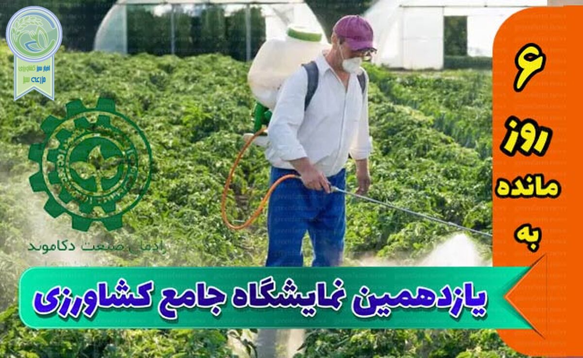 مشکل تخصیص ارز و ترخیص از گمرک باید مرتفع شود


