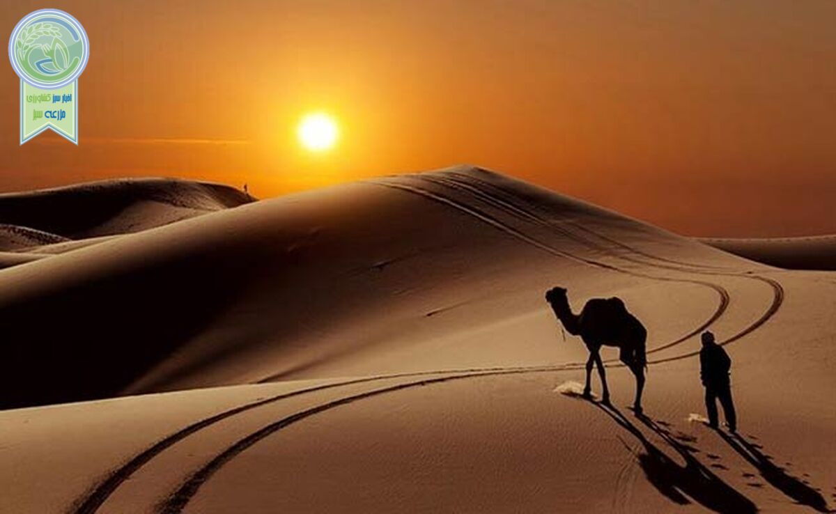 به آفریقای ایران خوش آمدید

