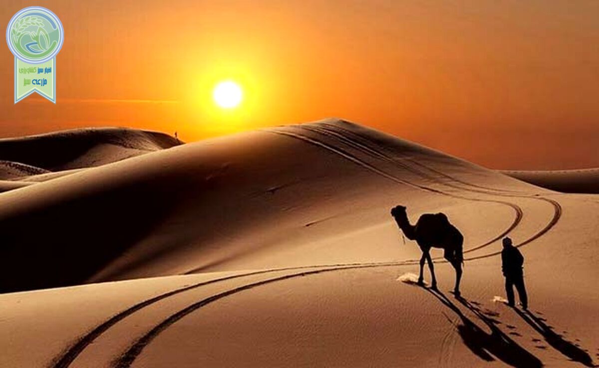 به آفریقای ایران خوش آمدید

