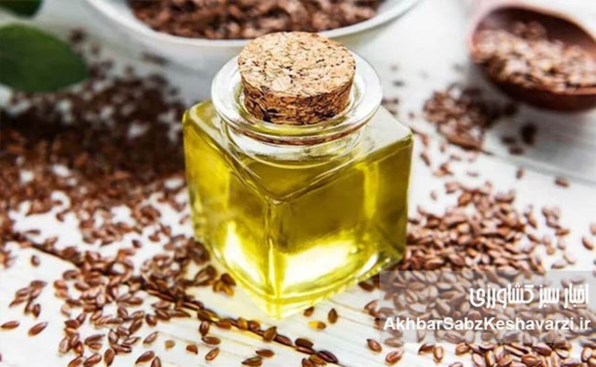 روغن تخم کتان: معجونی طلایی برای تعادل هورمونی و آرامش
