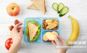 سریع اما مقوی: ۸ ایده جذاب برای یک صبحانه سالم و فست‌فودی