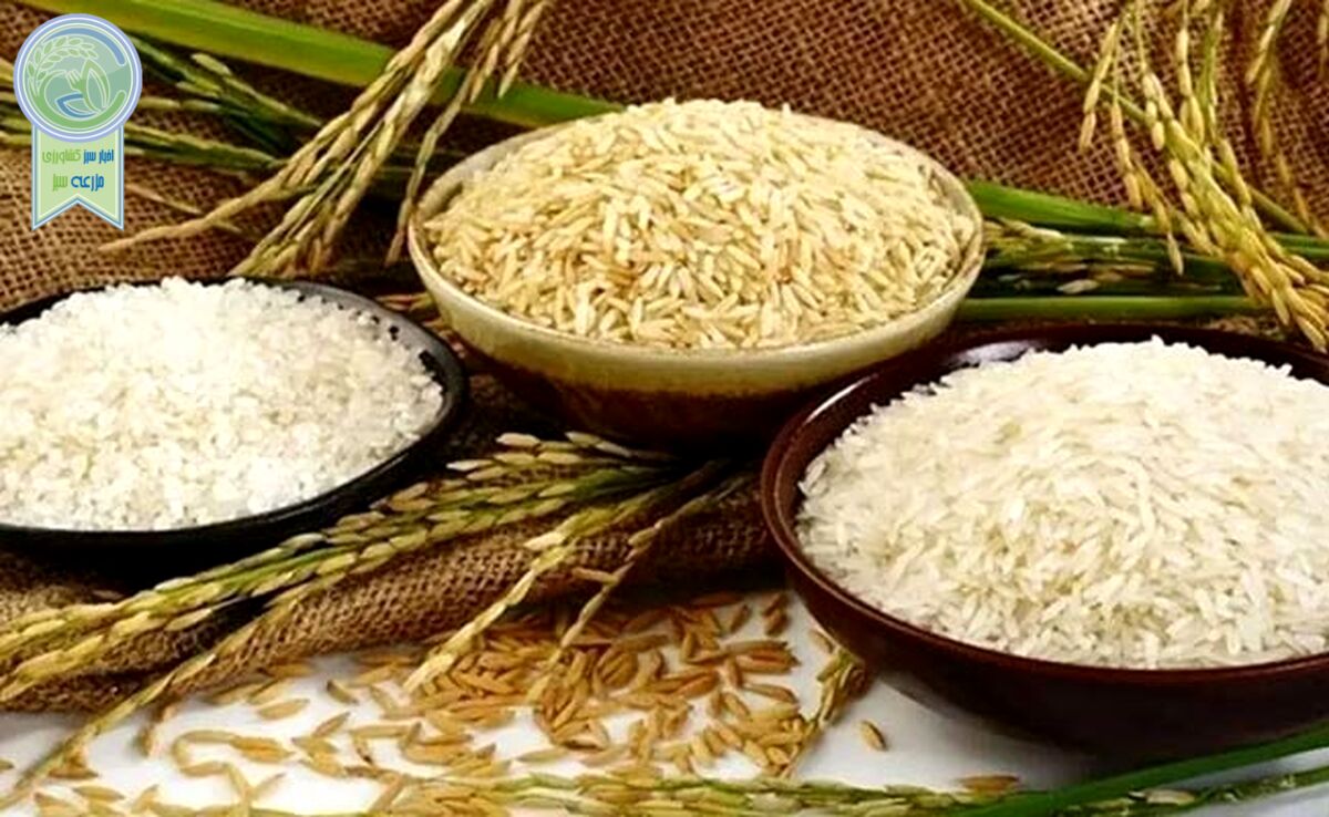 برنج، طلای سفید گران در فضای مجازی!