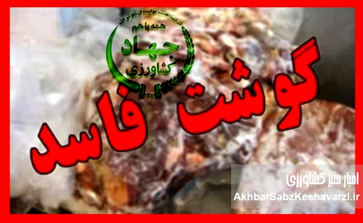محموله ۱۰۰ تنی گوشت مغولستان پس از رد شدن توسط عراق سر از بازار ایران درآورد+ویدئو