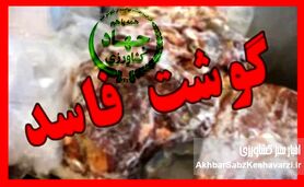 محموله ۱۰۰ تنی گوشت مغولستان پس از رد شدن توسط عراق سر از بازار ایران درآورد+ویدئو