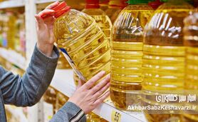 ثبت‌سفارش روغن؛ مُسکن موقت یا اعتراف به شکست سیاست‌های کشاورزی؟
