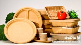 کارگاه‌های زیرپله‌ای تولید ظروف یکبار مصرف؛ هشدار اتحادیه یا زنگ خطر برای سلامت مردم؟