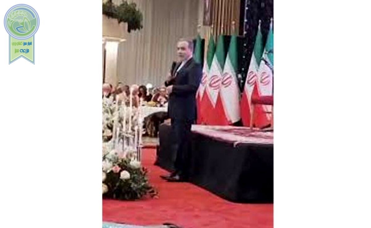 اجرای ترانه دلکش در میهمانی وزارت خارجه+ ویدئو

