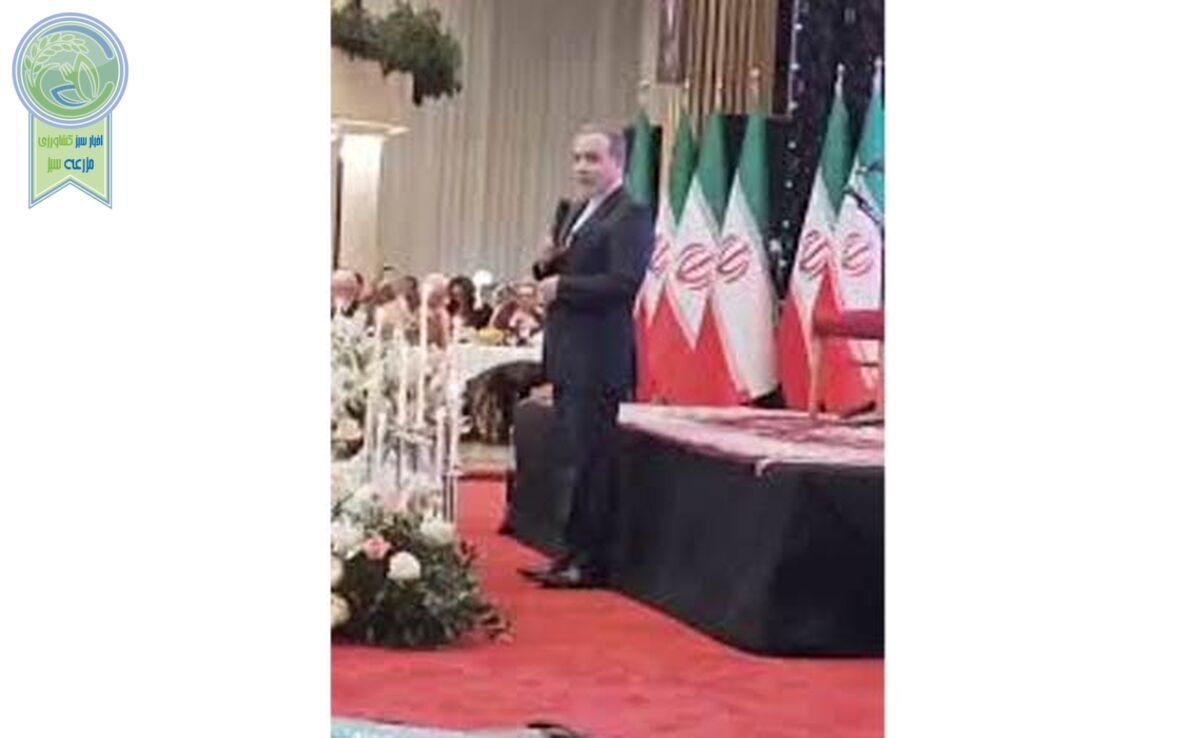 اجرای ترانه دلکش در میهمانی وزارت خارجه+ ویدئو

