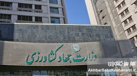 استعفای بهنگام مدیران کشاورزی؛ راهکار پیشگیری از بحران و رکود در بخش کشاورزی