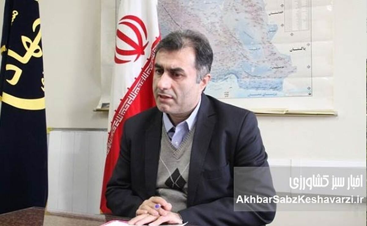 علی درجانی در صدر شرکت مادر تخصصی؛ فرمانده جدید خدمات کشاورزی کشور کیست؟
