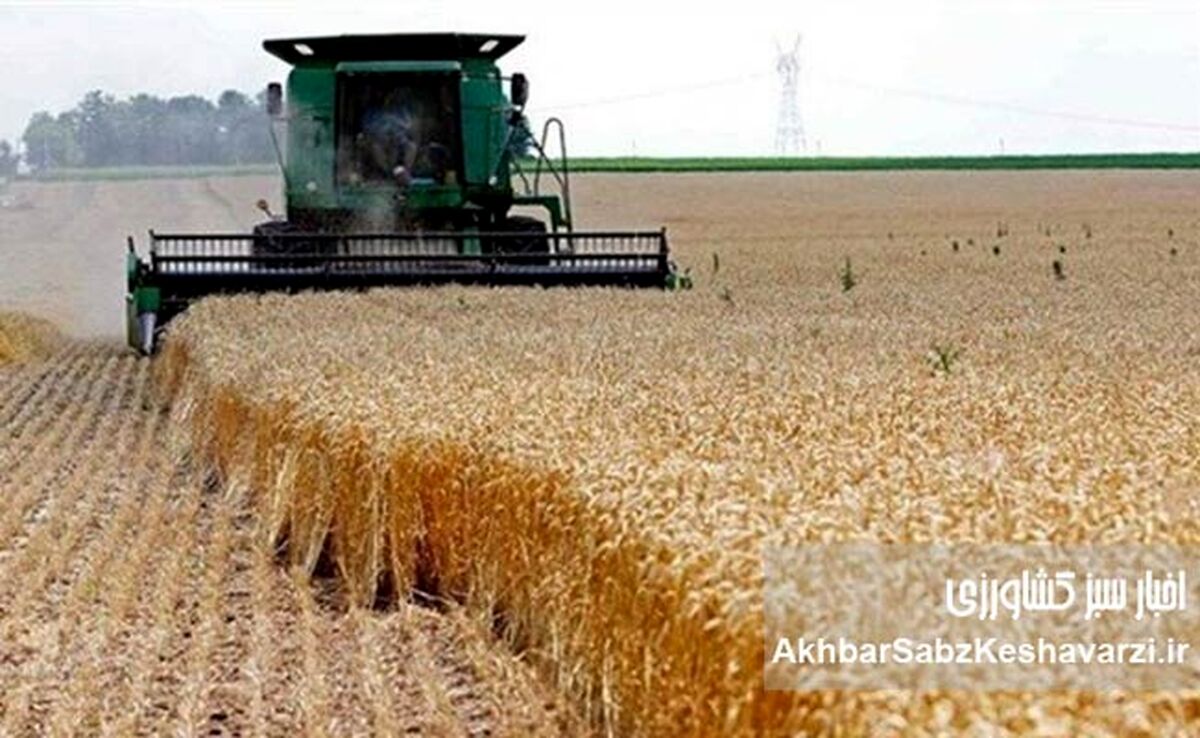 پزشکیان از اصلاح تاریخی قیمت خرید تضمینی گندم خبر داد