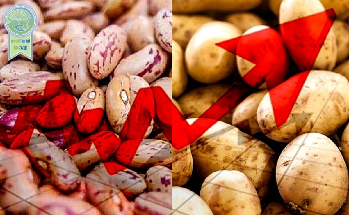 قیمت لوبیا چیتی و سیب زمینی رکورددار تورم غذا در ایران