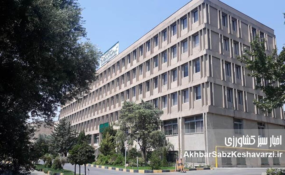 وقتی نخبگان پژوهشی به ستوه می‌آیند؛ نامه سرگشاده محققین غیرهیأت‌علمی «تات» به رئیس‌جمهور، رئیس مجلس و رئیس قوه قضائیه