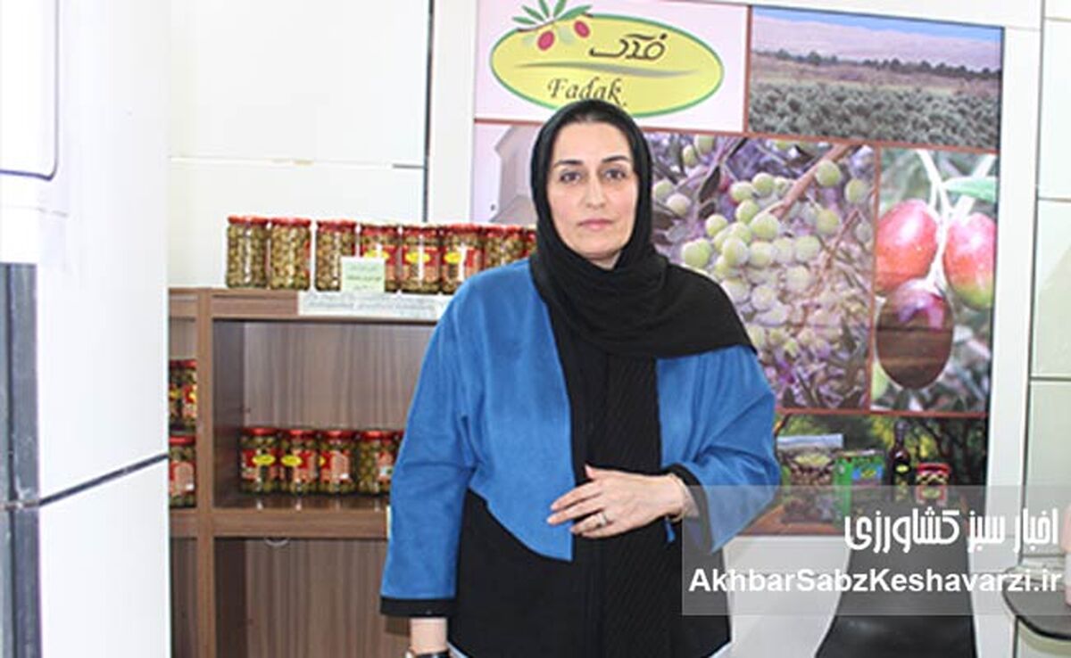 شرکت کشت و صنعت زیتون فدک سراج؛ پیشگام تولید روغن زیتون ارگانیک در ایران