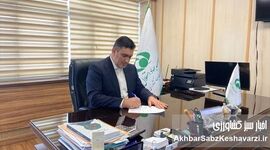 مدیر محکوم در رأس جهاد استقلال؛ مطالبه فوری برای اجرای قانون