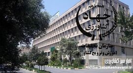 همایش‌های طلایی، مزرعه‌های خشک؛ نگاه انتقادی به کارنامه سازمان تات