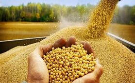 قیمت نهاده های دامی و کشاورزی ۱۱ اردیبهشت ۱۴۰۳+ جدول

