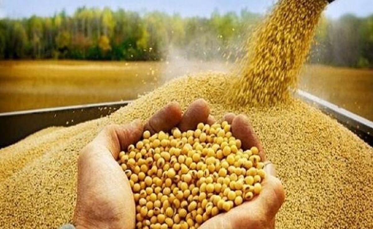 قیمت نهاده های دامی و کشاورزی ۱۱ اردیبهشت ۱۴۰۳+ جدول

