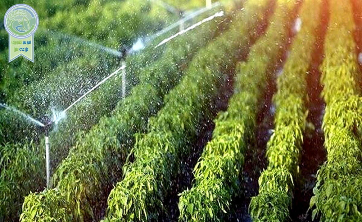 نیاز آبی گیاهان در کشاورزی و باغبانی+ ویدئو


