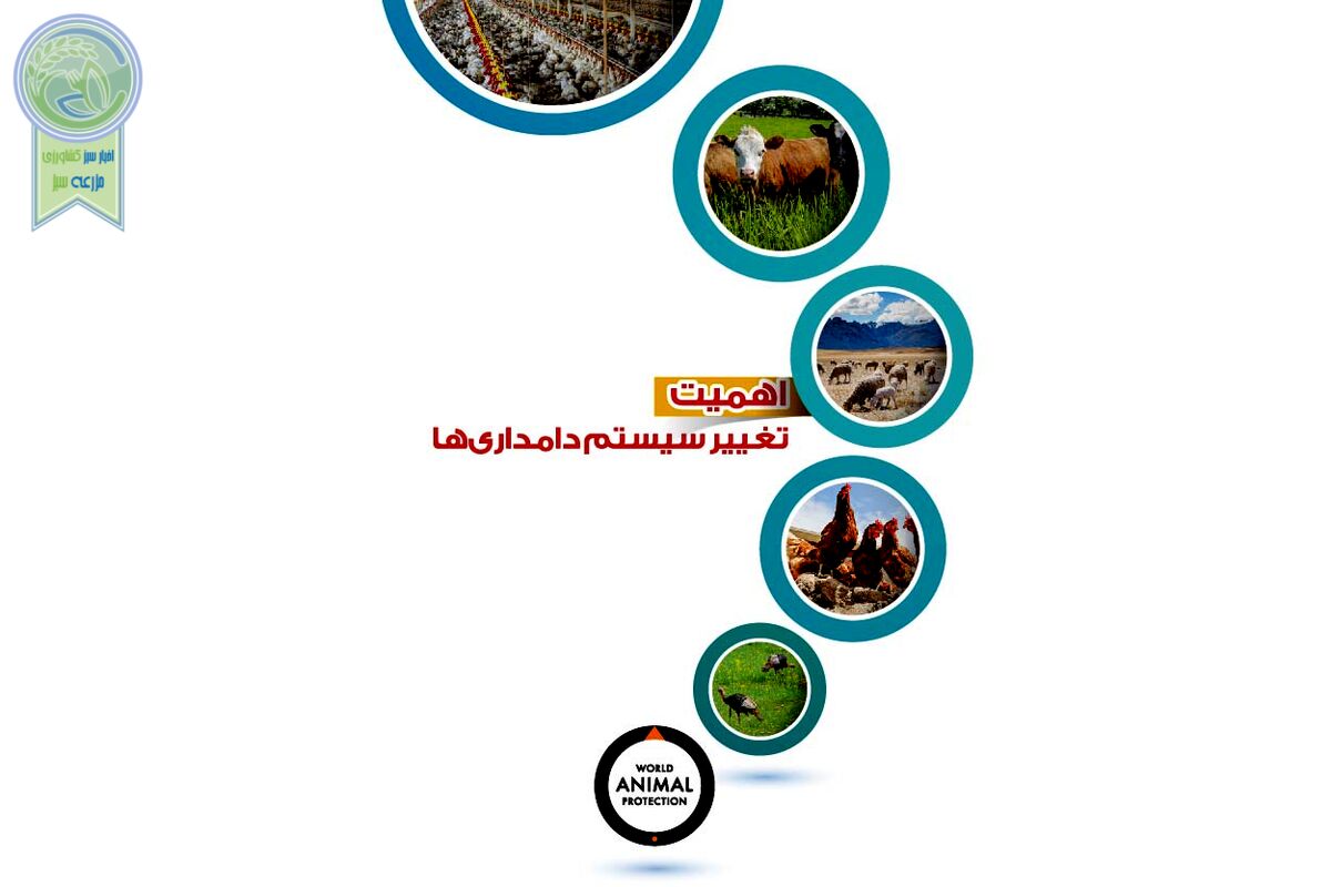 اهمیت تغییر سیستم دامداری‌ها

