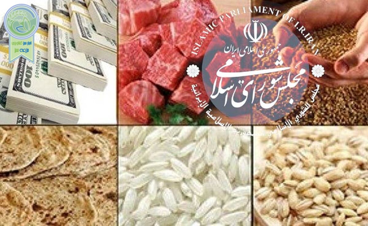 دستگاه‌های نظارتی کجایند؟

