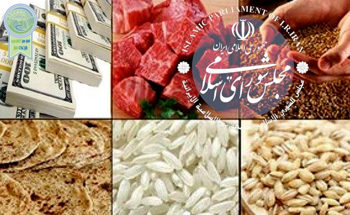 دستگاه‌های نظارتی کجایند؟

