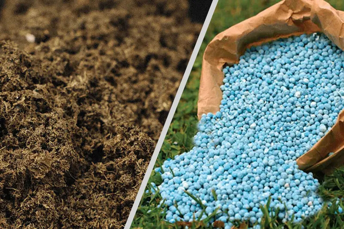 کود شیمیایی یا حیوانی؟ نبرد بر سر کیفیت محصول و سلامت خاک

